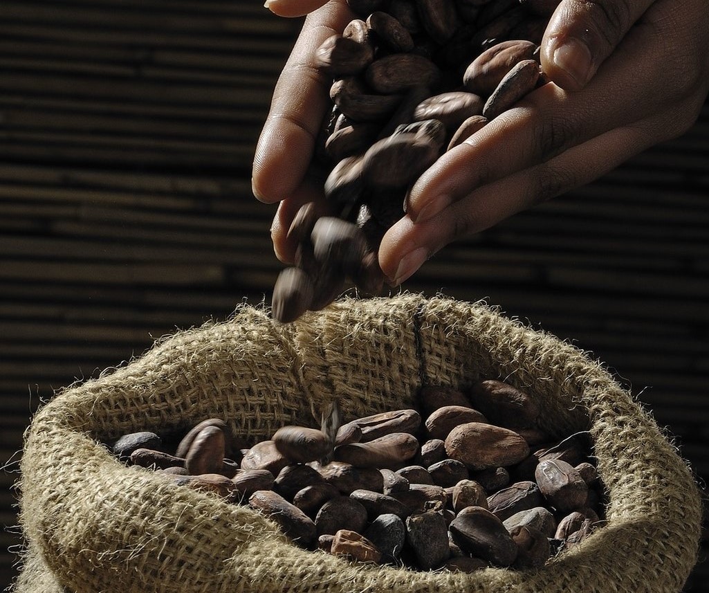 coffee-bean-on-human-hands-and-sack-47316-2.jpg
