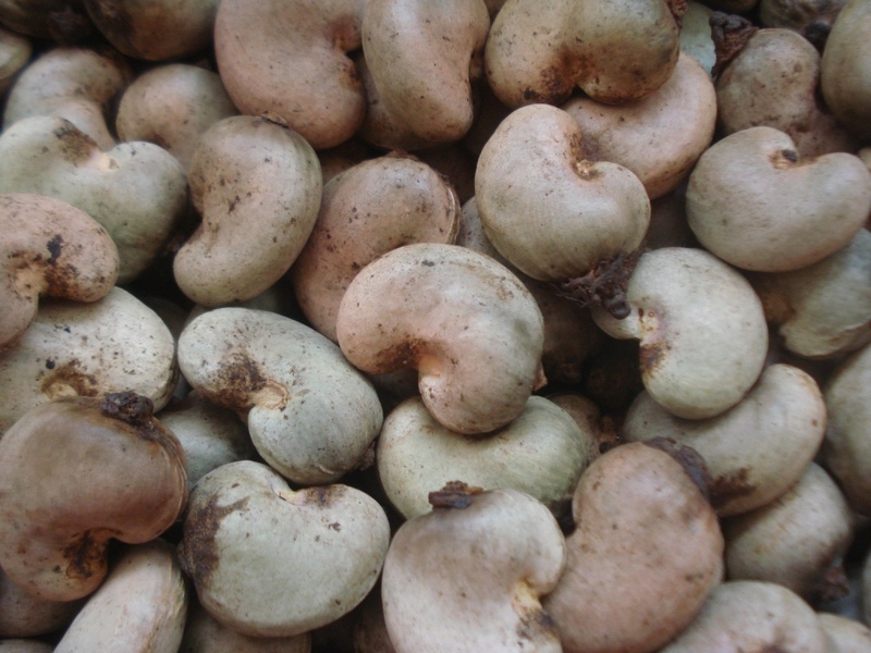 raw-cashew-nuts.jpg